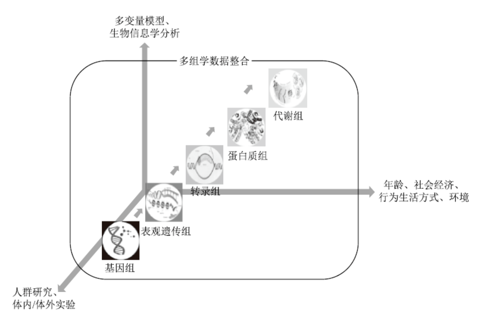 精準醫(yī)療 精準醫(yī)療